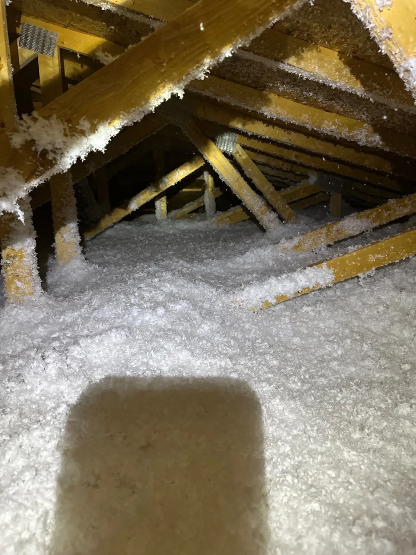 Finished blown-in insulation between attic roof trusses